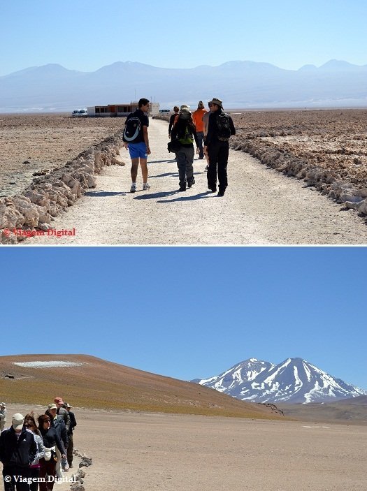 Turismo no Atacama: Lagunas Altiplanicas