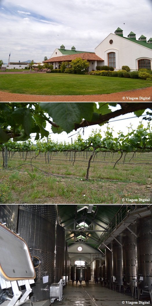 Casas Del Bosque em Casablanca (Chile)