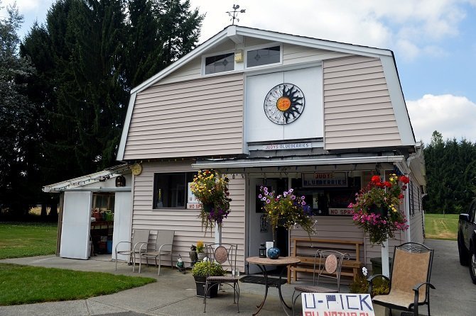 Fazenda de blueberry perto de Vancouver