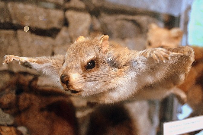 Vancouver pontos turísticos