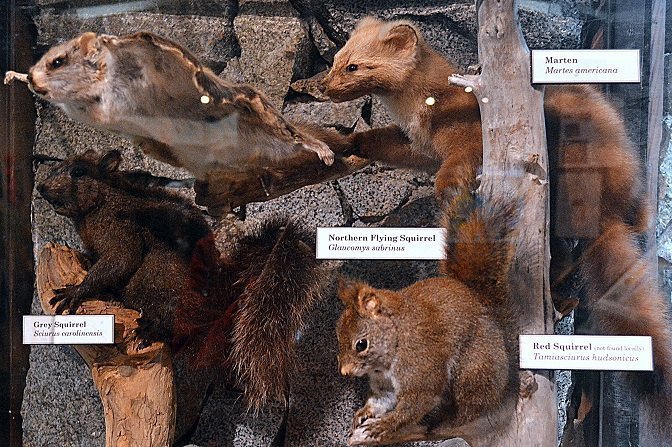 Passeio gratuito em Vancouver