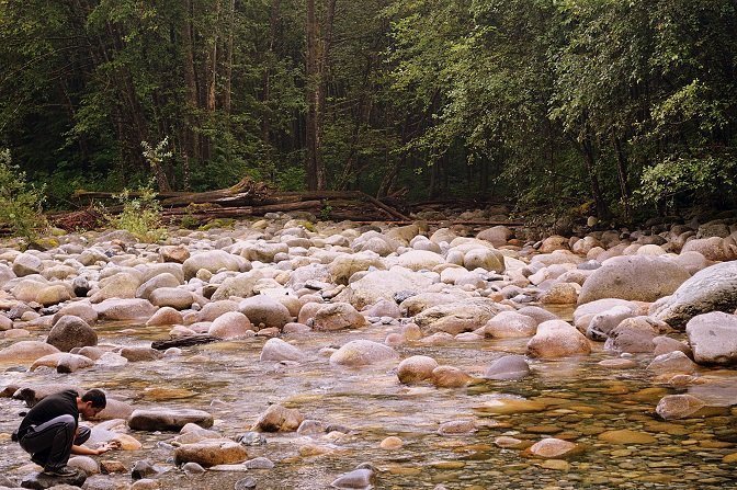 Vancouver referências