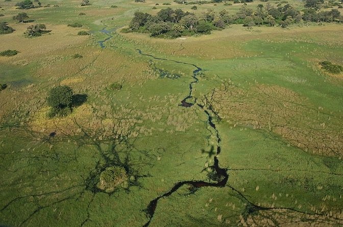 Top destinos - Delta Okavango