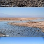 Passeio no Atacama: Lagunas Altiplanicas + Salar de Atacama