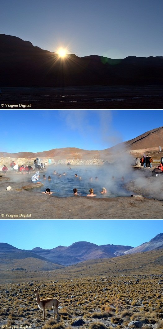 Deserto do Atacama: Piscina Termal quente no Geysers del Tatio + Vicunha em Machuca