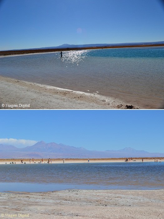 Deserto do Atacama (Chile) - Lagunas Cejar