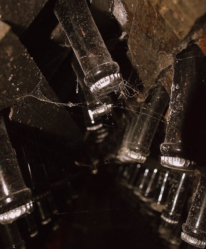 Vale dos Vinhedos mapa